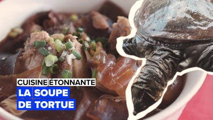 Cuisine étonnante : la soupe de tortues