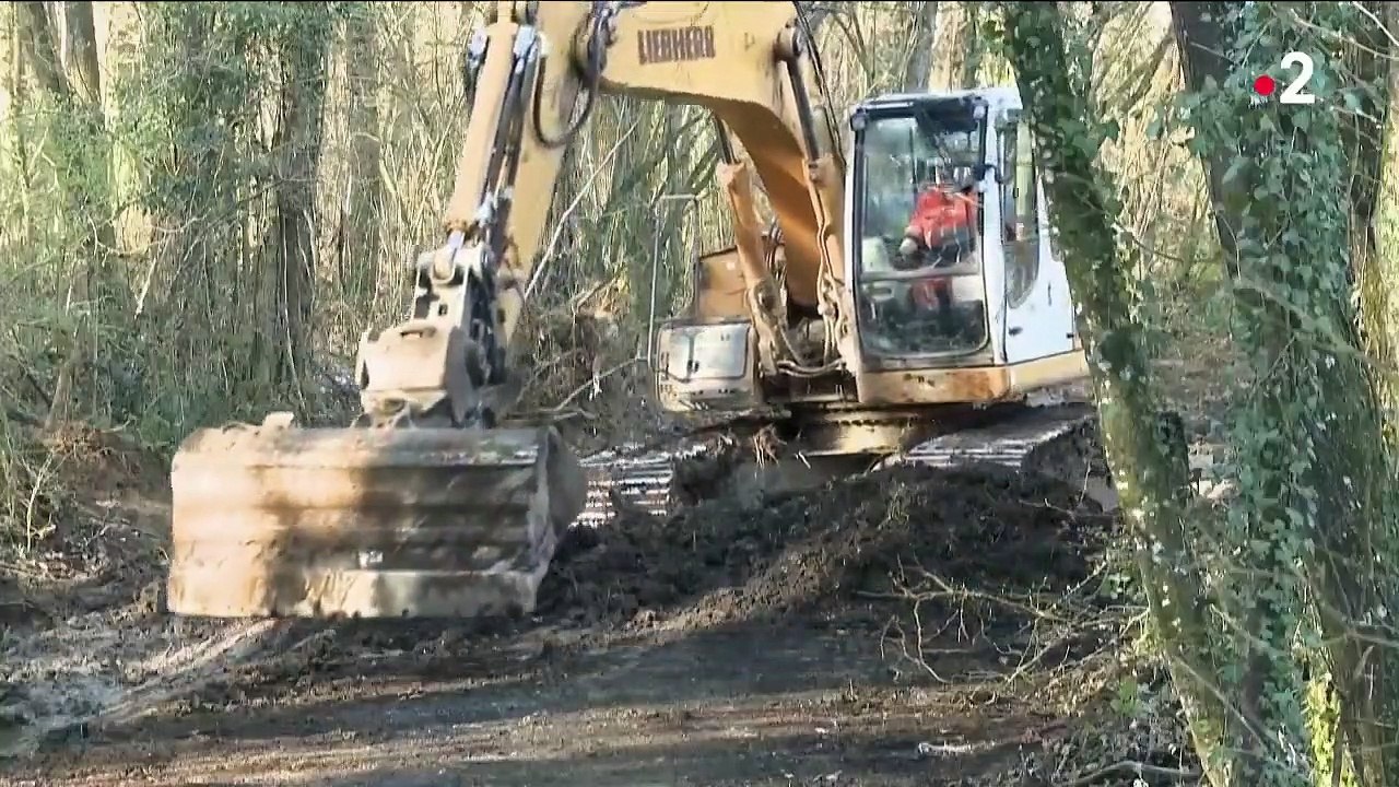 Disparition d'Estelle Mouzin : de nouvelles fouilles sont en cours dans les Ardennes