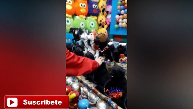 10 Minutos de Videos Graciosos Recopilación de Videos Graciosos 34