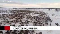 Russian Reindeer circle dance captured by drone camera