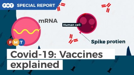 Everything you need to know