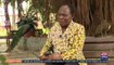 Ghana Month Series: History of the Porcupine in Asante culture - Joy News Today (31-3-21)