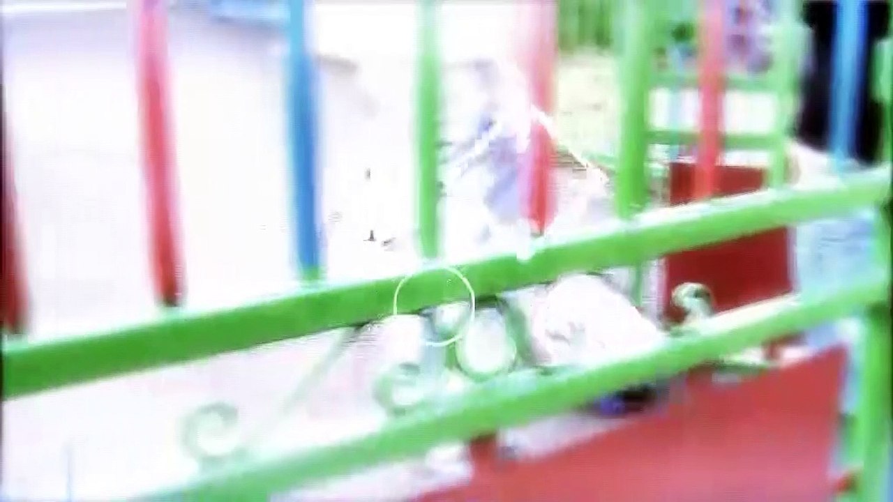 LE JOURNAL DE LA QUOTIDIENNE : Le journal du mercredi 31 mars 2021