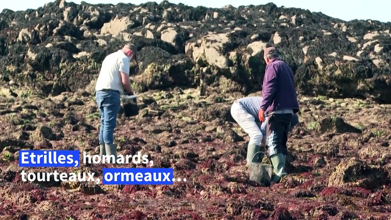 Entre éclaboussures et pêche à pied, une journée de grande marée à Saint-Malo