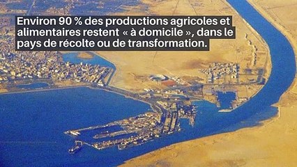 La sécurité alimentaire mondiale passe aussi par la mer_IN