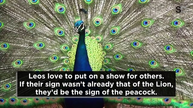 The 3 Zodiac Signs that are Most Likely to End Up on Reality TV