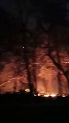 दुधवा टाइगर रिजर्व  में लगी भीषण आग से मचा हड़कंप