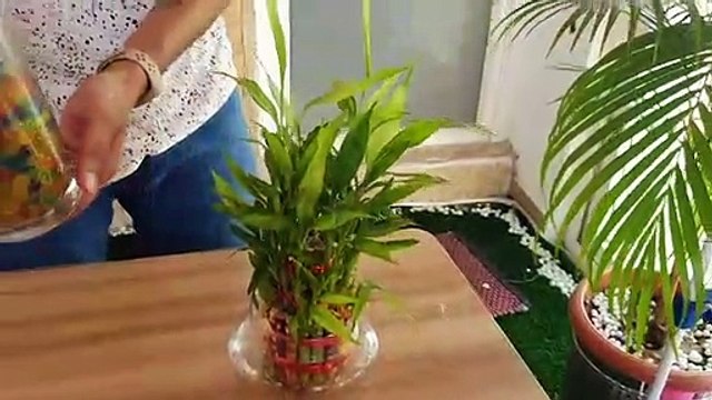 Traditional Chinese Music Relaxing, Bamboo Flute Music, Guzheng Music, Peace, Calm, Sleep Music.