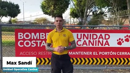 ¿Cómo cuidar a sus mascotas esta Semana Santa? Siga estos consejos de Bomberos
