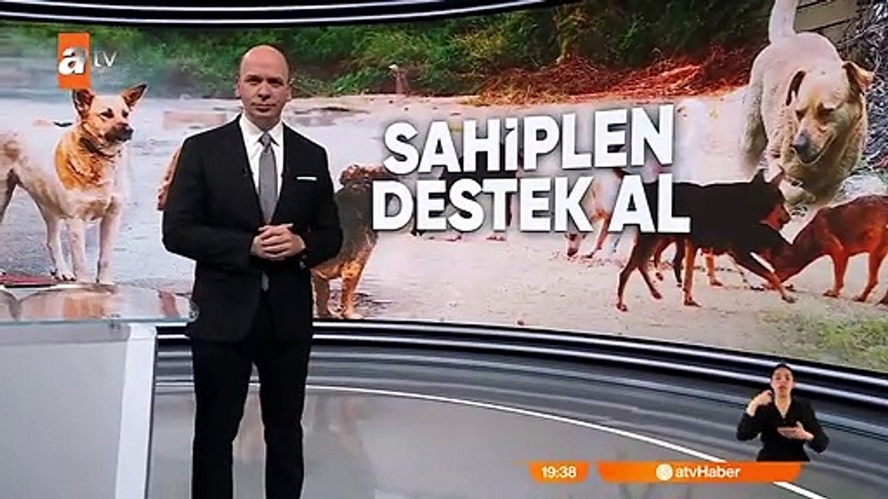 Belediyeden mama ve aşı desteği