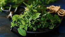 Herbs You Should Be Growing In Your Global Herb Garden
