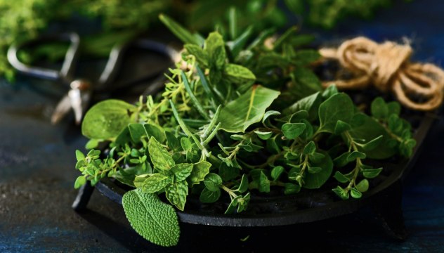 Herbs You Should Be Growing In Your Global Herb Garden