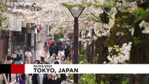 شاهد: سكان طوكيو يحتفلون بموسم تفتح أزهار الكرز بعد رفع حالة الطوارئ