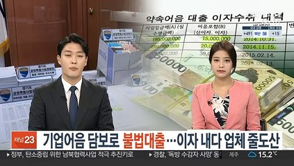 기업어음 담보로 불법대출…이자 갚다 업체 줄도산