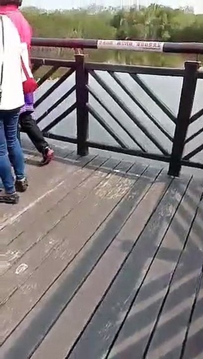 bridge