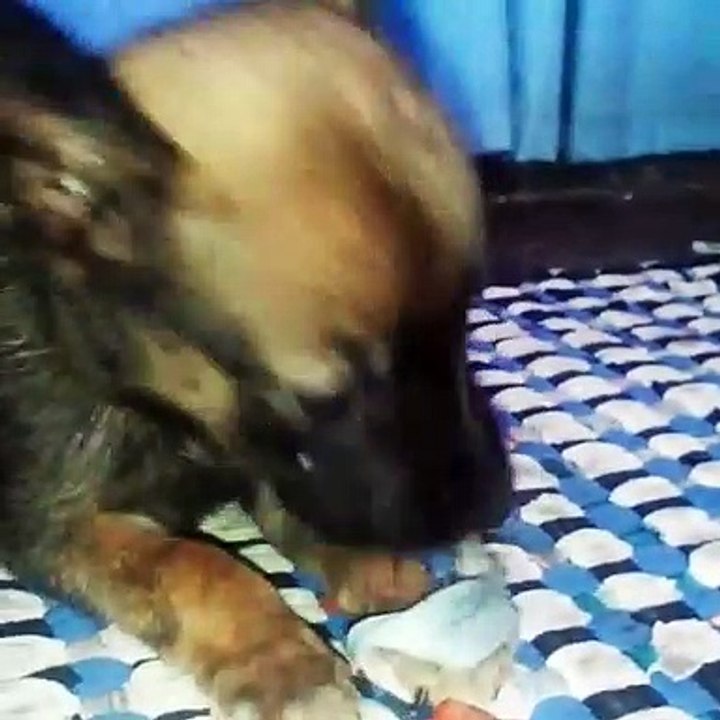 nakaka miss si baba billy