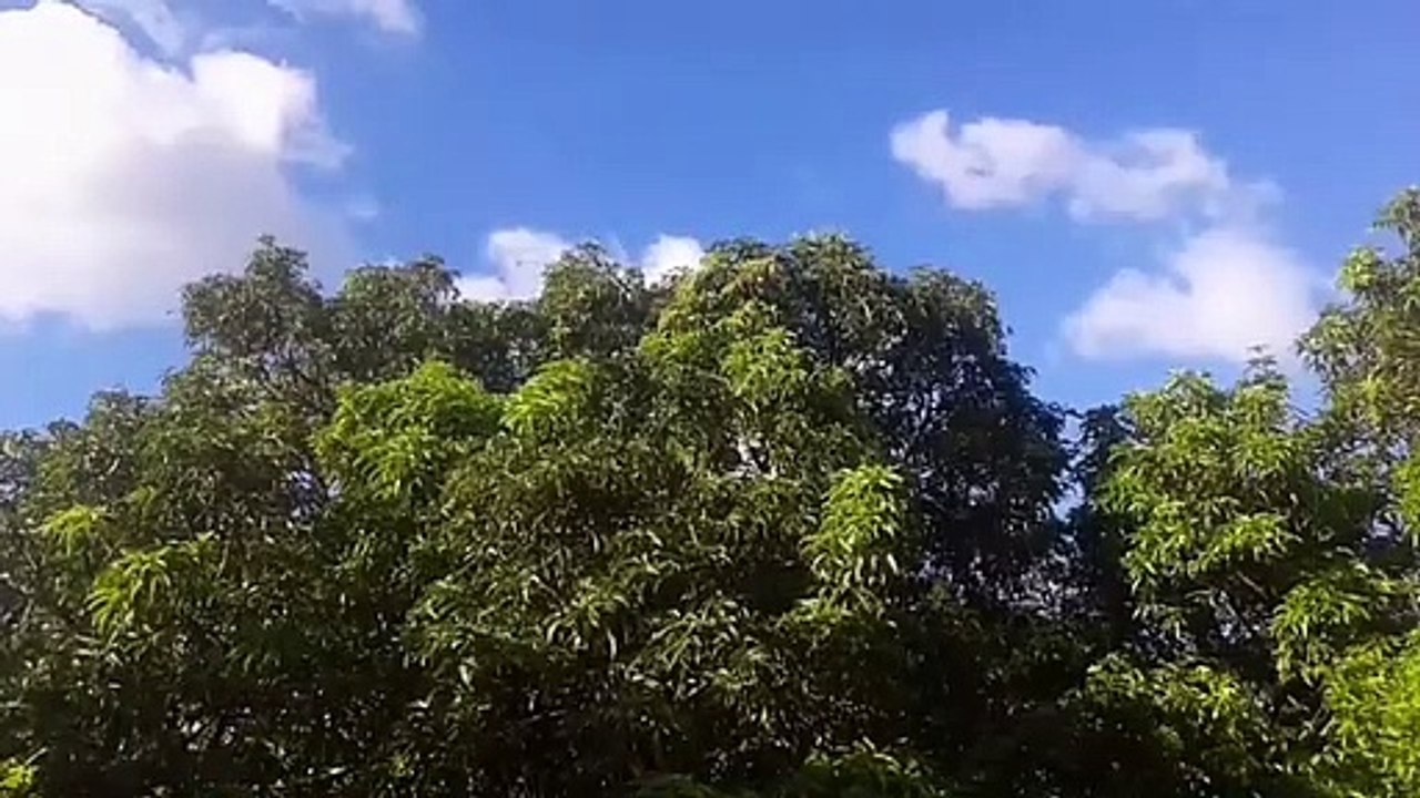 gana ng tanawin