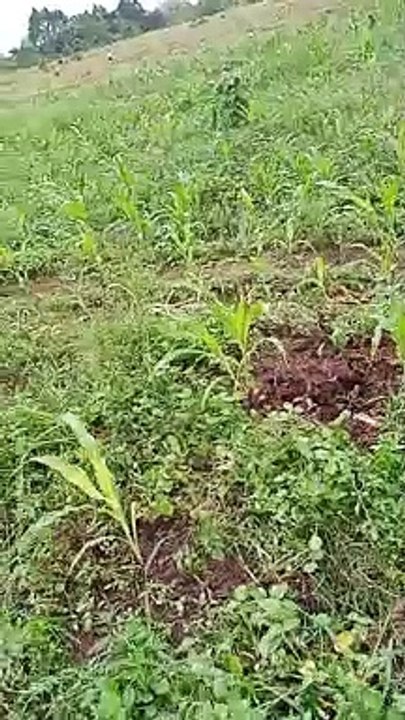 farmer life