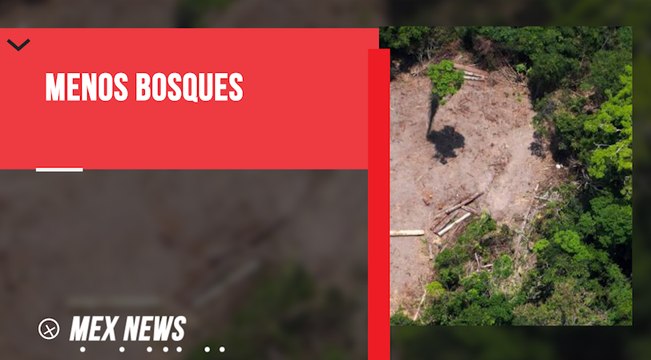 LA PÉRDIDA DE BOSQUES TROPICALES EN EL MUNDO SE INCREMENTÓ EN 2020