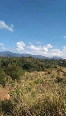 a beatiful scenery in a pandemic day