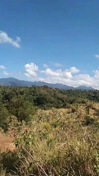 a beatiful scenery in a pandemic day