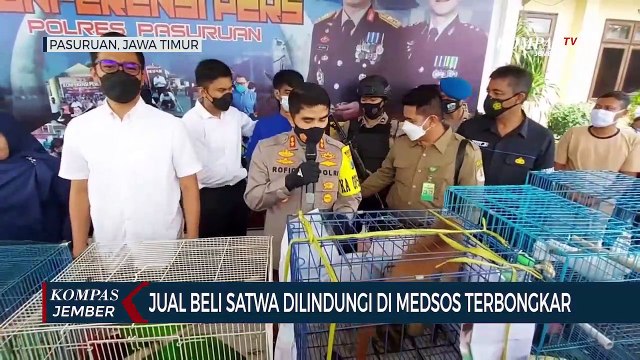 Praktik Jual Beli Satwa Dilindungi di Medsos Dibongkar, 13 Ekor Satwa Disita