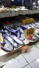 DISPLAYING FRESH FISHES ON THE TABLE PLACE