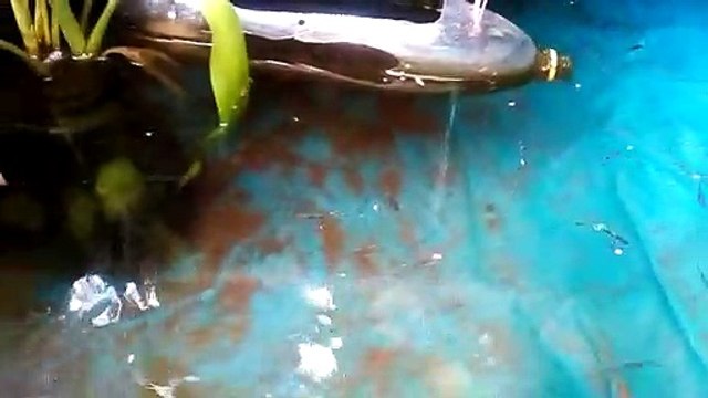 food eating my gappies,beautyful gappies,my gappys