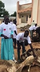 Yerli Düşünce Derneği kurban bereketini Kamerun'a taşıdı!