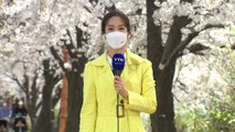 [날씨] 때 이른 초여름 더위,  서울 26℃...벚꽃길 대부분 통제 / YTN