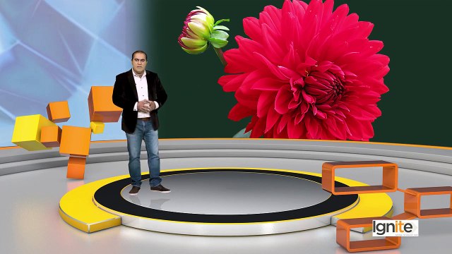 102 Graphic Design Software Adobe Photoshop Eraser Tool