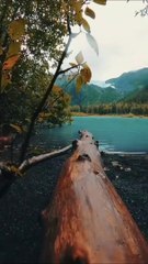 Nature scenes -Deep relaxing music