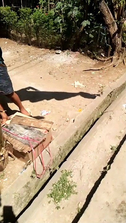 bili tayo pagkain ng manok at kalapanget