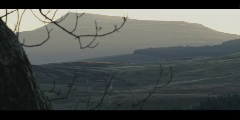 Pumpkins 2019 (2of2)