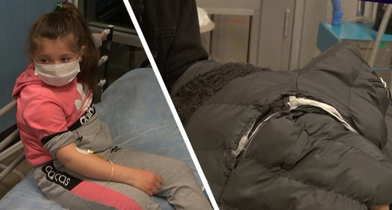 Başıboş gezen pitpull, 8 yaşındaki çocuğa saldırdı