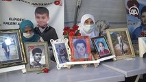 'Tehdit edildiği için Diyarbakır annelerine katıldığı' iddiasını yalanladı