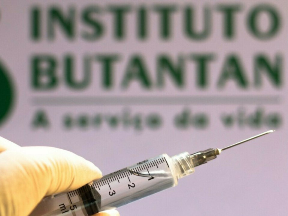 Neue Variante des Coronavirus in Brasilien entdeckt