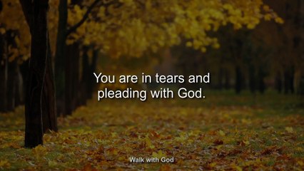 God Has Not Forgotten You