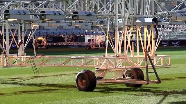 Des moutons pour entretenir la pelouse de Saint-Symphorien !