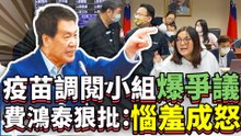 疫苗調閱小組爆爭議 費鴻泰狠批：惱羞成怒