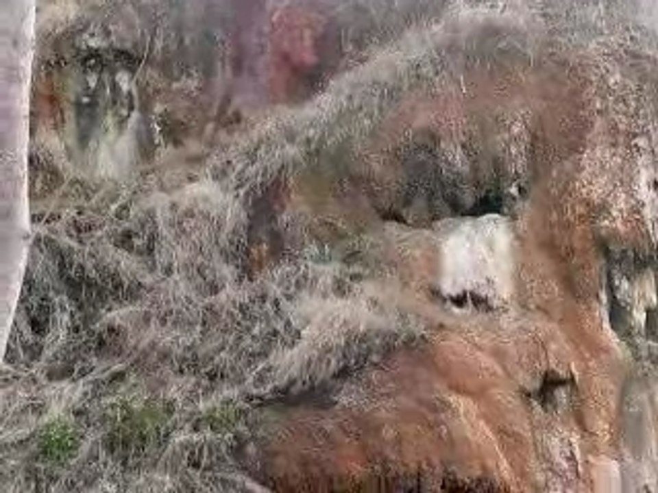 Source spectaculaire à St Floret