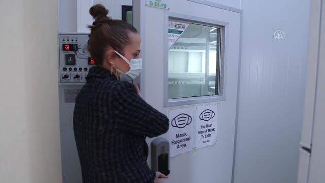 Türk bilim insanları buğdayın atası ıza yı laboratuvar ortamında üretti