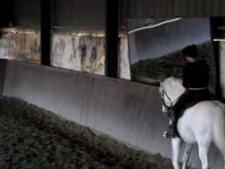 mario equitation