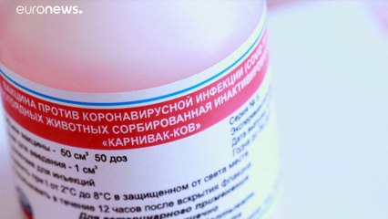 Carnivak-Cov: il primo vaccino anti Covid per animali