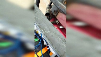 Stowaway Spider Gives Quad Bike Rider a Surprise