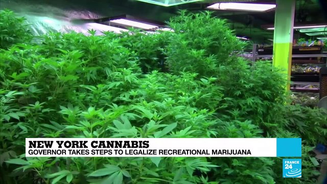 New York state legalizes recreational marijuana