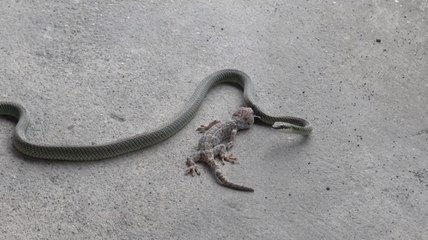 เรื่องพลบค่ำ ช่วงที่ 2 วันพฤหัสบดีที่ 1 เม.ย.64