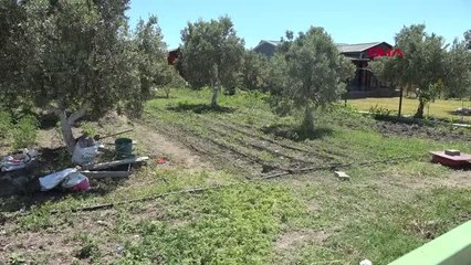 İZMİR Hobi bahçelerine yapılan evler yıkılacak