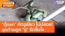 “ตุ๊กแก” กัดงูเขียว ไม่ปล่อย! สุดท้ายถูก “งู” รัดสิ้นใจ (1 เม.ย. 64) คุยโขมงบ่าย 3 โมง