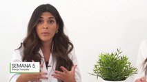 Dudas, Consejos Y Curiosidades Del Embarazo: ¡Primer Trimestre! | Mifarma Farmacia